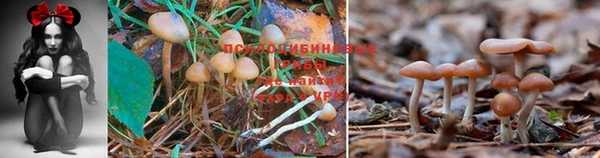 ешки Верхнеуральск