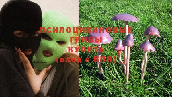 эйфоретик Верея