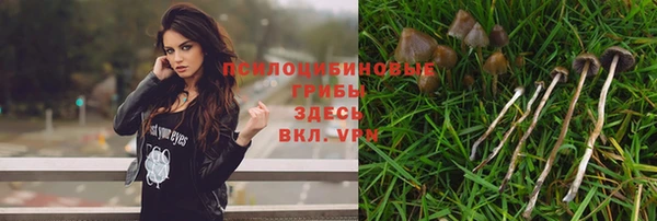 эйфоретик Верея