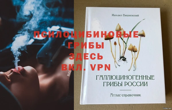 эйфоретик Верея