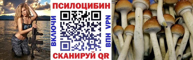 Псилоцибиновые грибы Psilocybine cubensis закладка Магнитогорск
